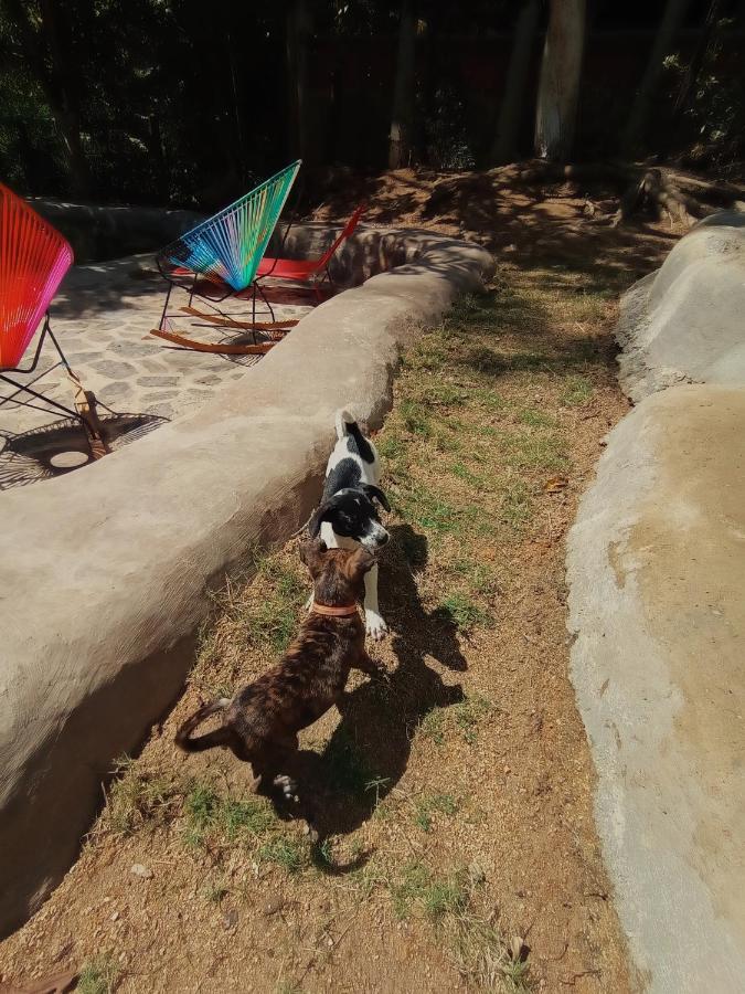Hostal Dos Quebradas Santa Marta  Kültér fotó