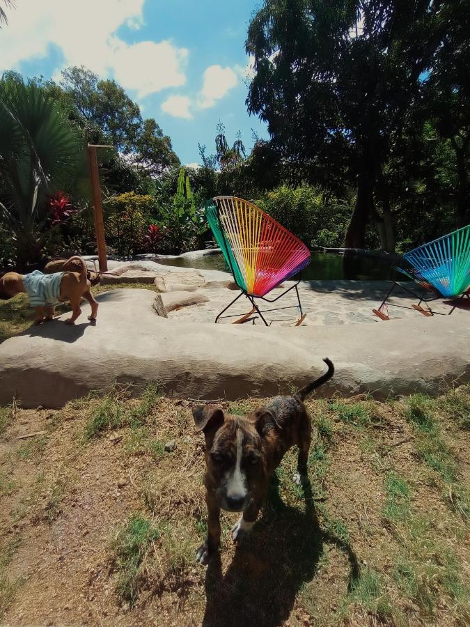 Hostal Dos Quebradas Santa Marta  Kültér fotó