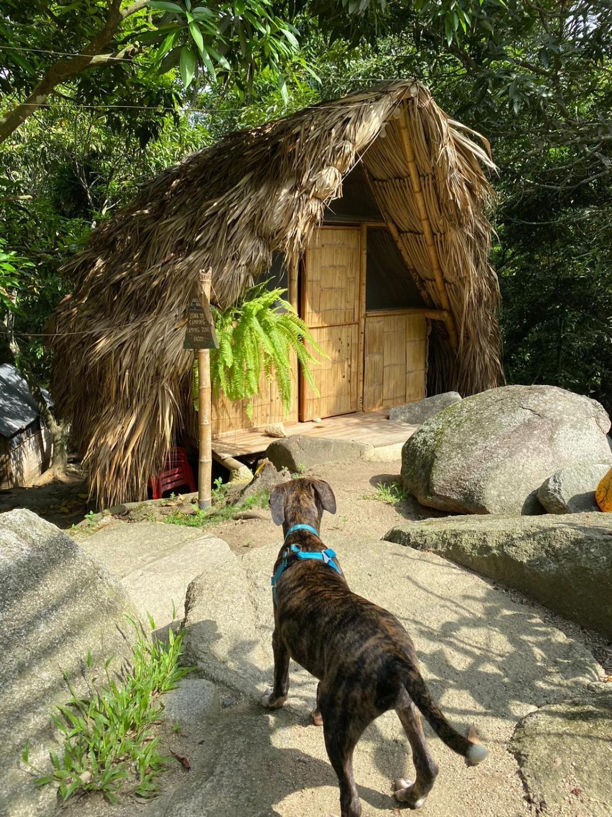 Hostal Dos Quebradas Santa Marta  Kültér fotó